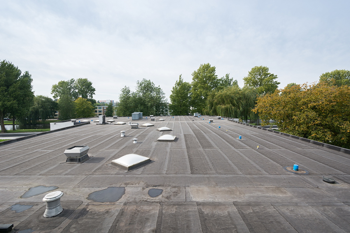 AaboSafe dakveiligheidsproducten bedrijfspand Dordrecht